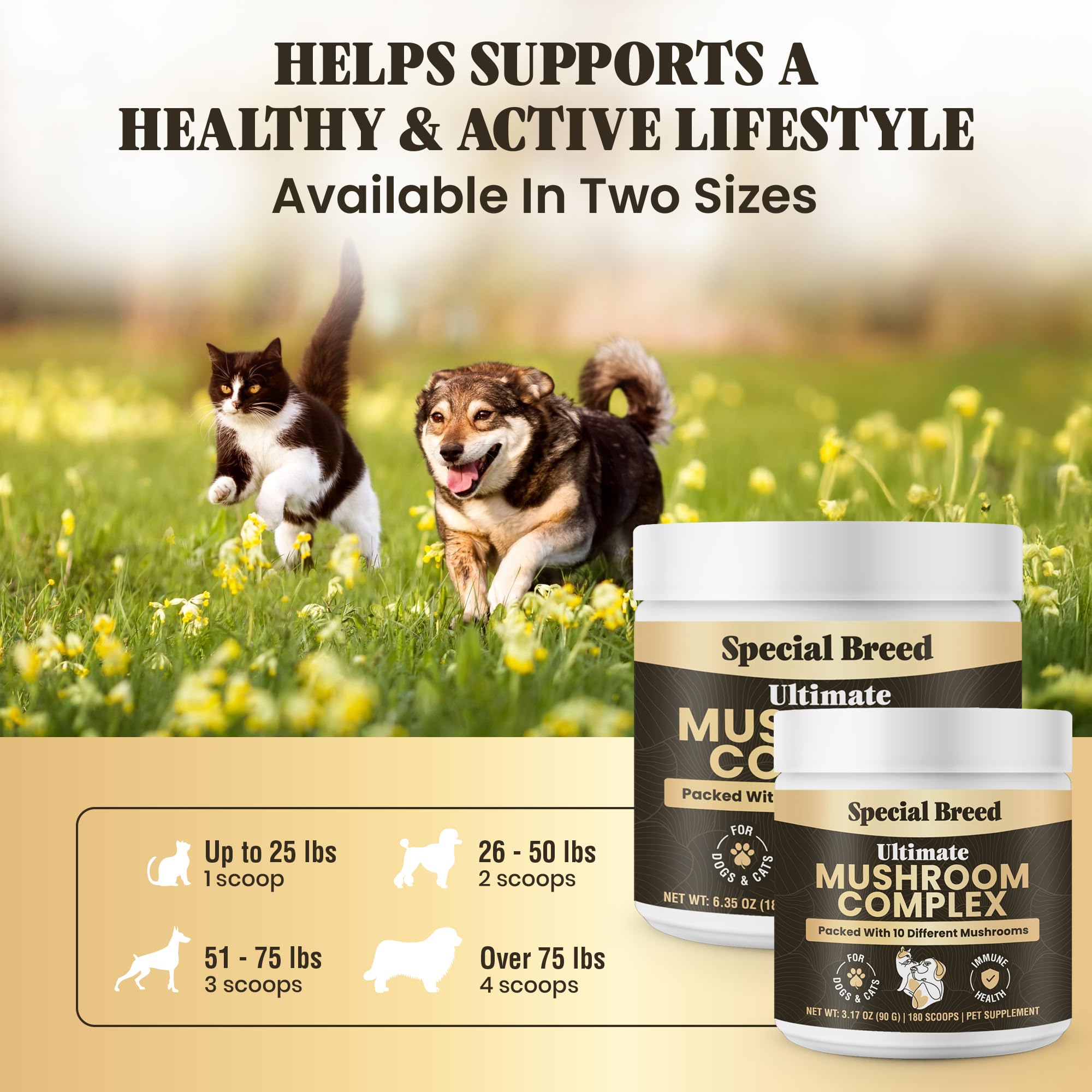 Special Breed organic mushroom medley icons on packaging suggesting immune wellness.
