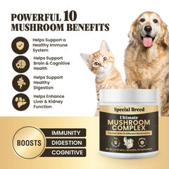 Special Breed mushroom powder pour demonstrates easy mixing into meals