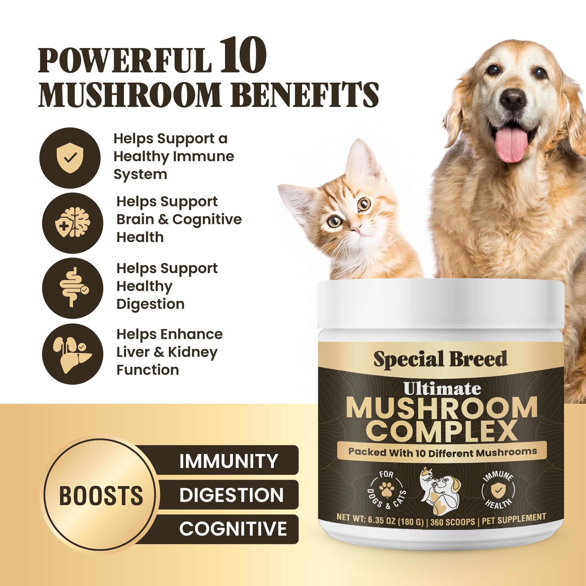 Special Breed mushroom powder scoop demonstrates convenient daily dosage for dogs and cats.