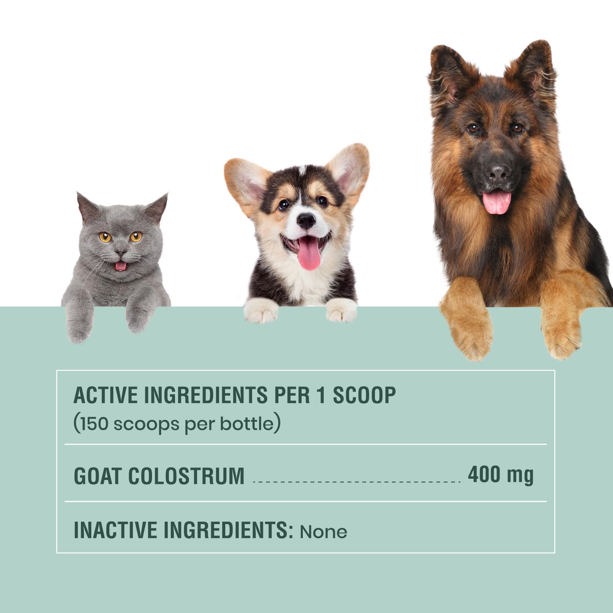 Special Breed pets enjoying the supplement mixed into meals.