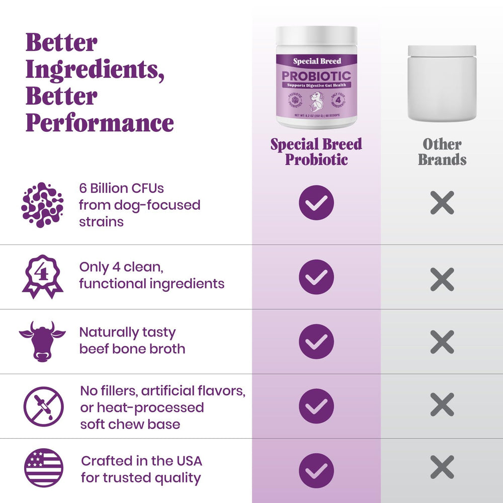 Special Breed probiotics powder closeup emphasizes high potency formula for gut balance.
