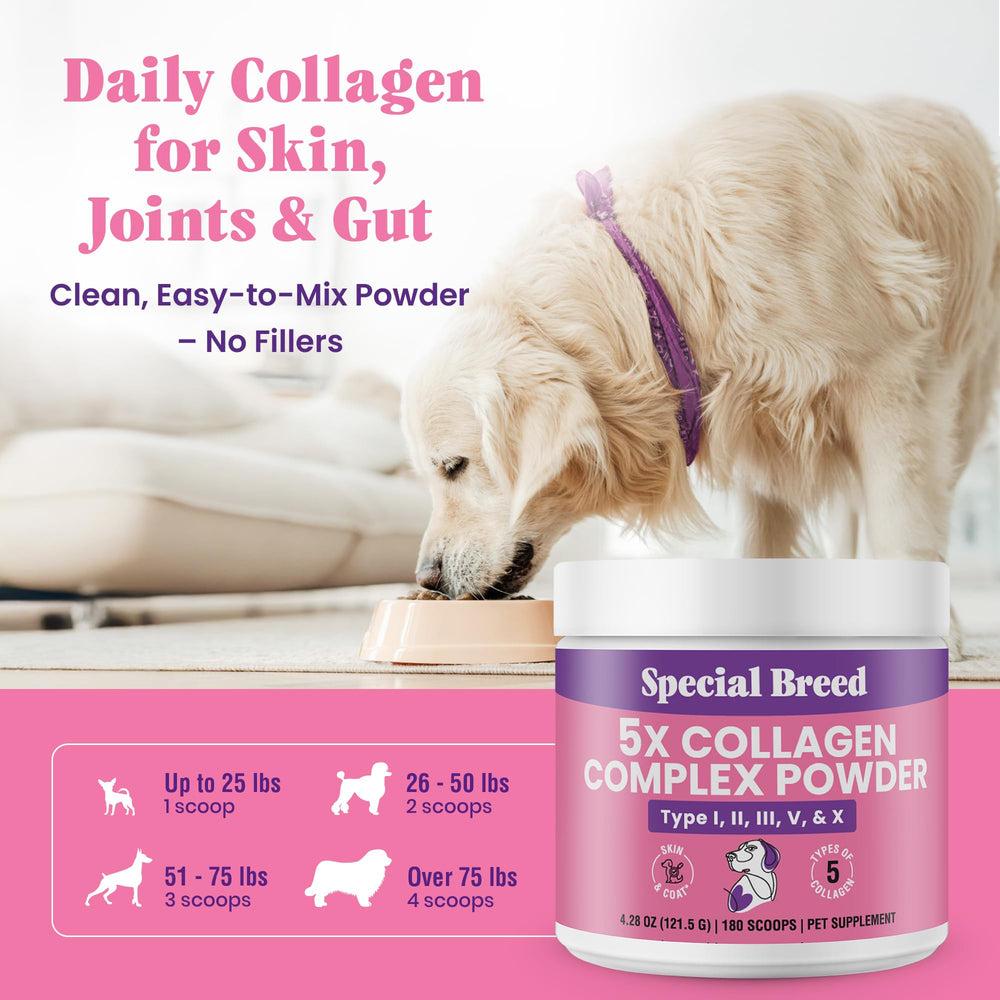 Special Breed USA GMP facility logo signaling quality and safety