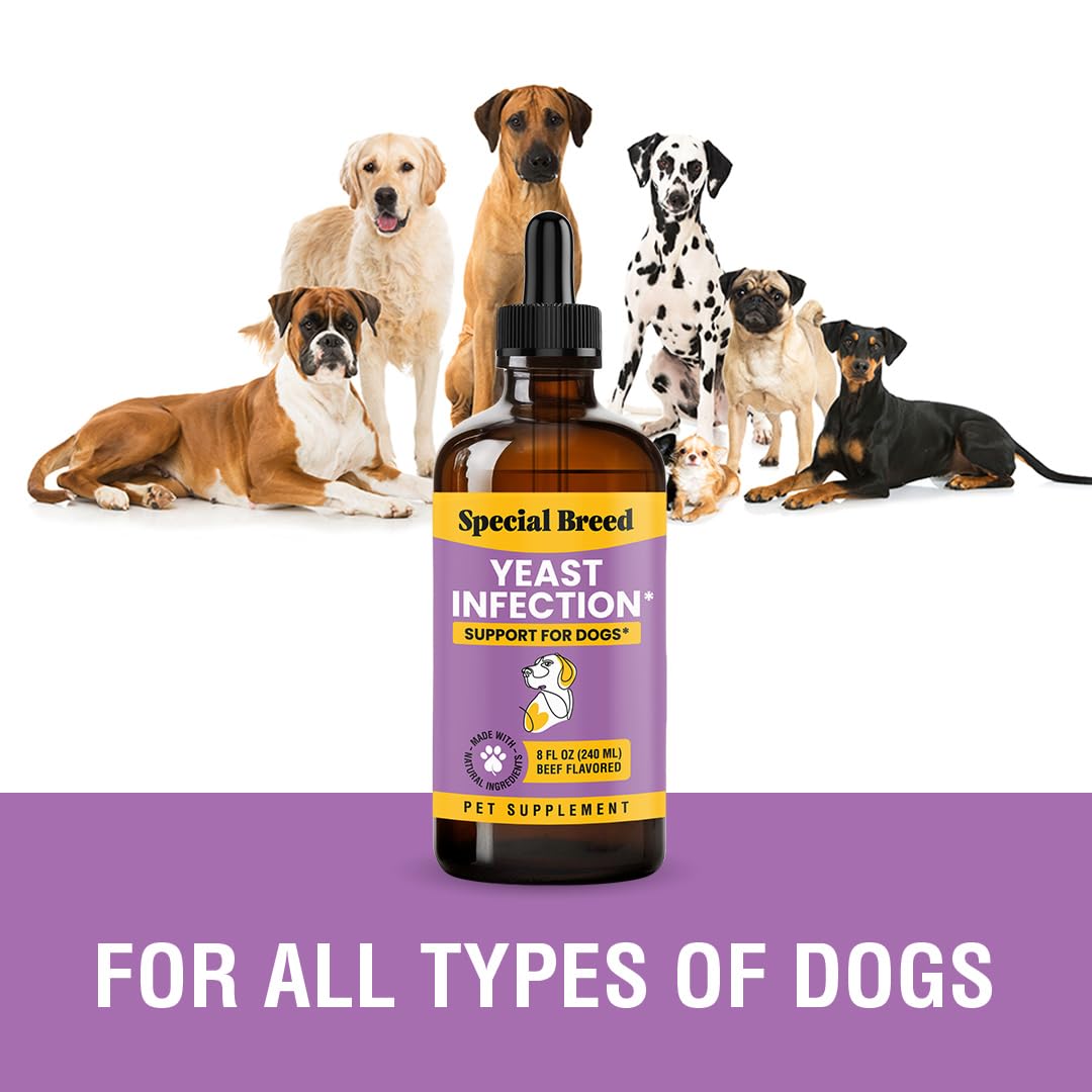 Special Breed yeast treatment for dogs after-use relief shows calm dog and comfort.