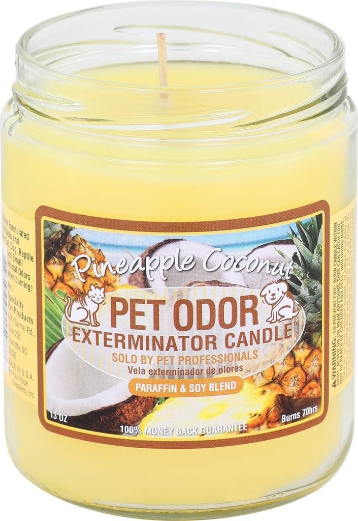 Specialty Pet Products Pet Odor Exterminator Candle Pineapple Coconut closeup freshens rooms and masks pet odors.