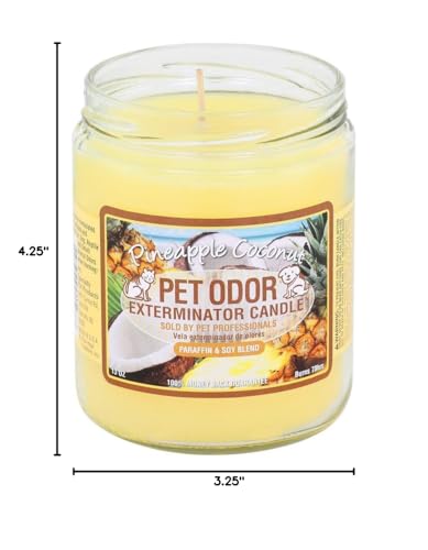 Specialty Pet Products Pineapple Coconut candle creates warm tropical ambiance for relaxing evenings.