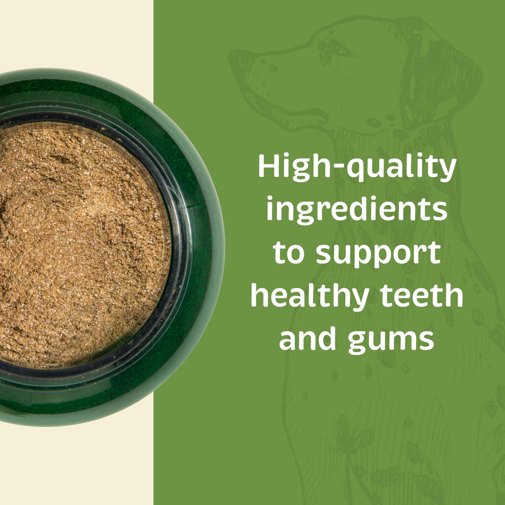 Spirited Paw dental powder dog and cat serving demonstrating easy mix-in