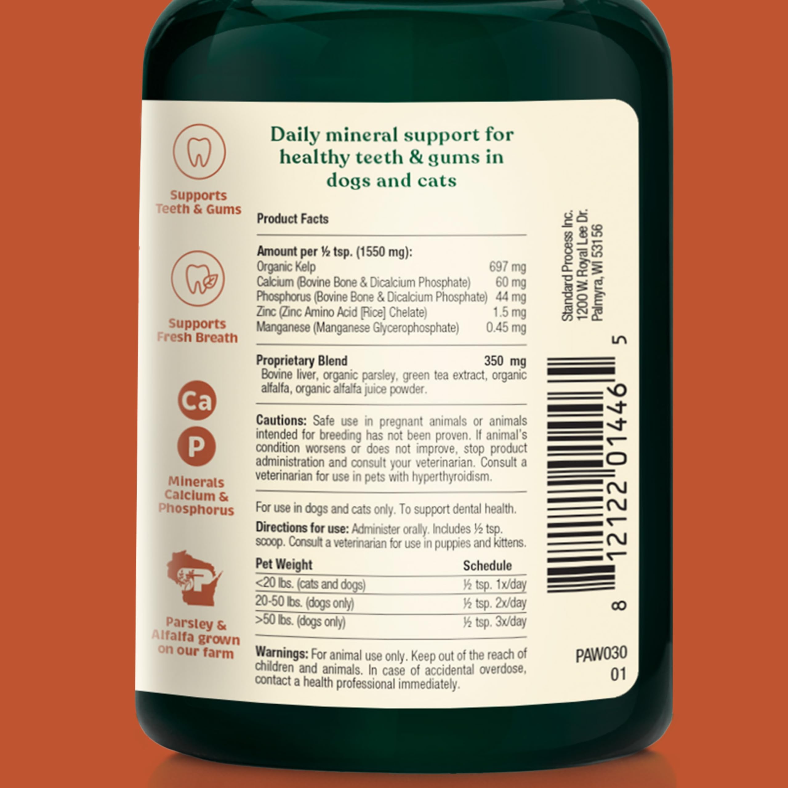 Spirited Paw dental powder jar closeup highlighting organic kelp ingredient