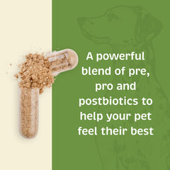 Spirited Paw dog receiving supplement during daily care routine.