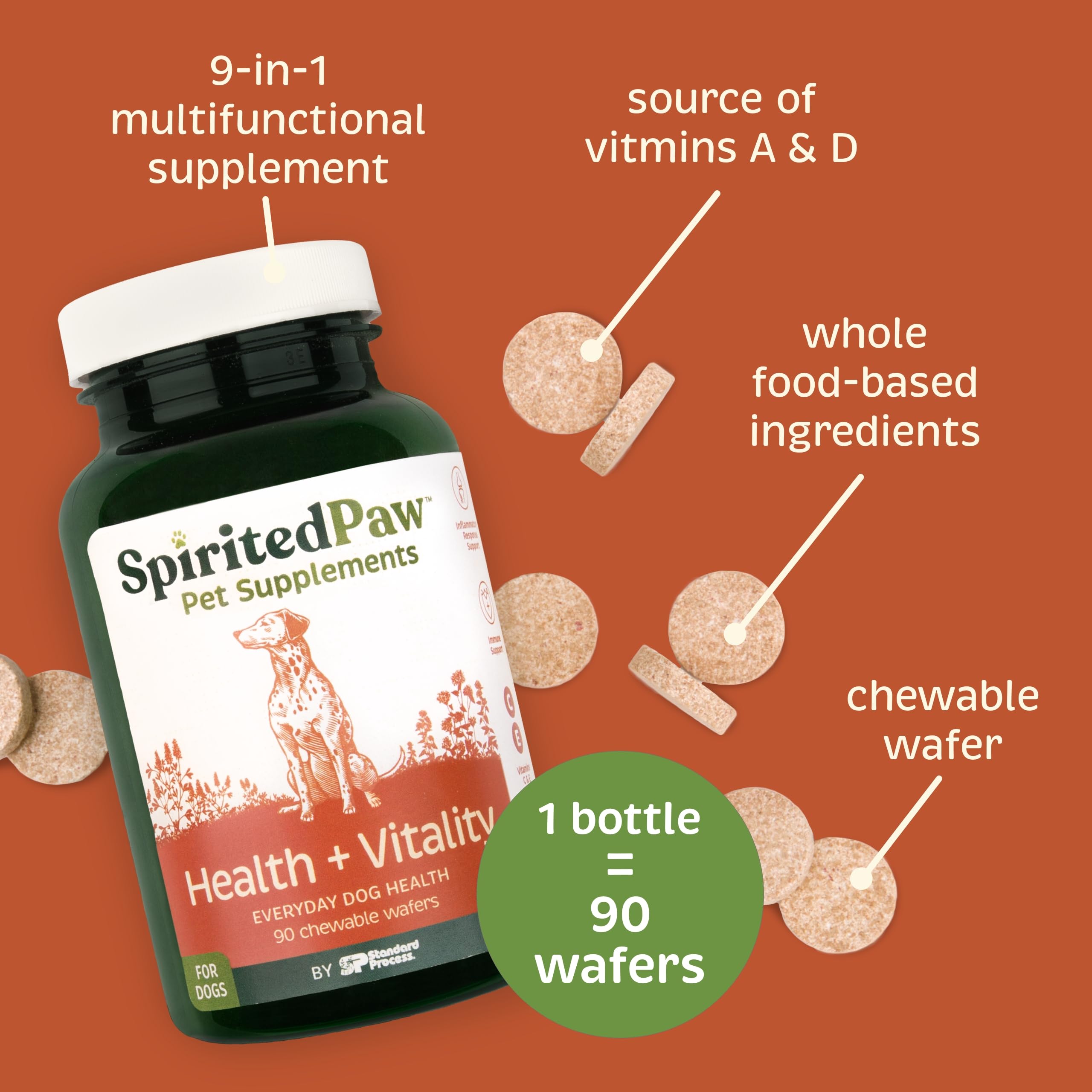 Spirited Paw Health + Vitality dog in kitchen illustrates daily dosing with liver-flavored wafers.