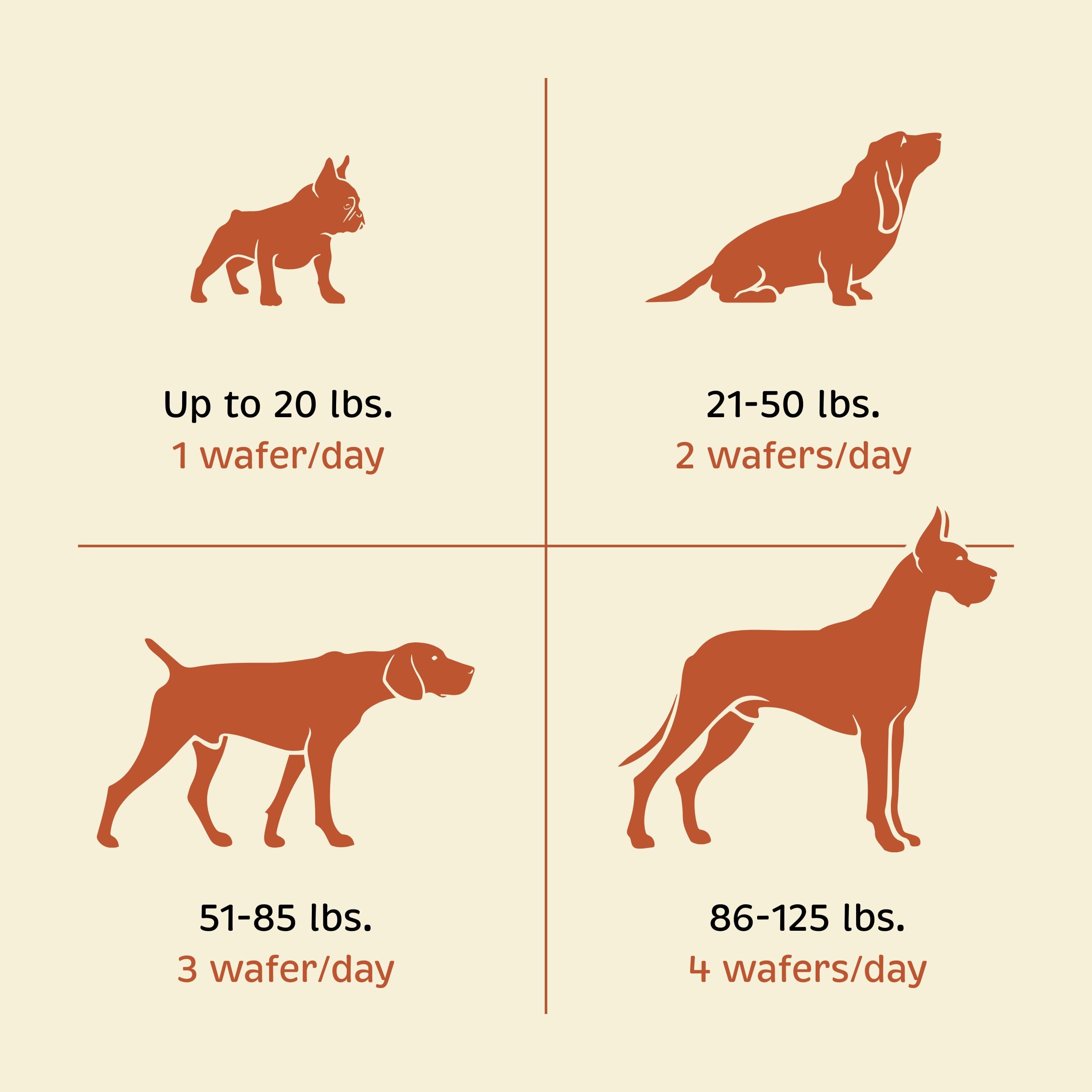 Spirited Paw Health + Vitality packaging on shelf signals trusted heritage for pet health.