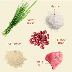 Spirited Paw Skin + Allergy ingredients page featuring organic kidney bean and barley grass.