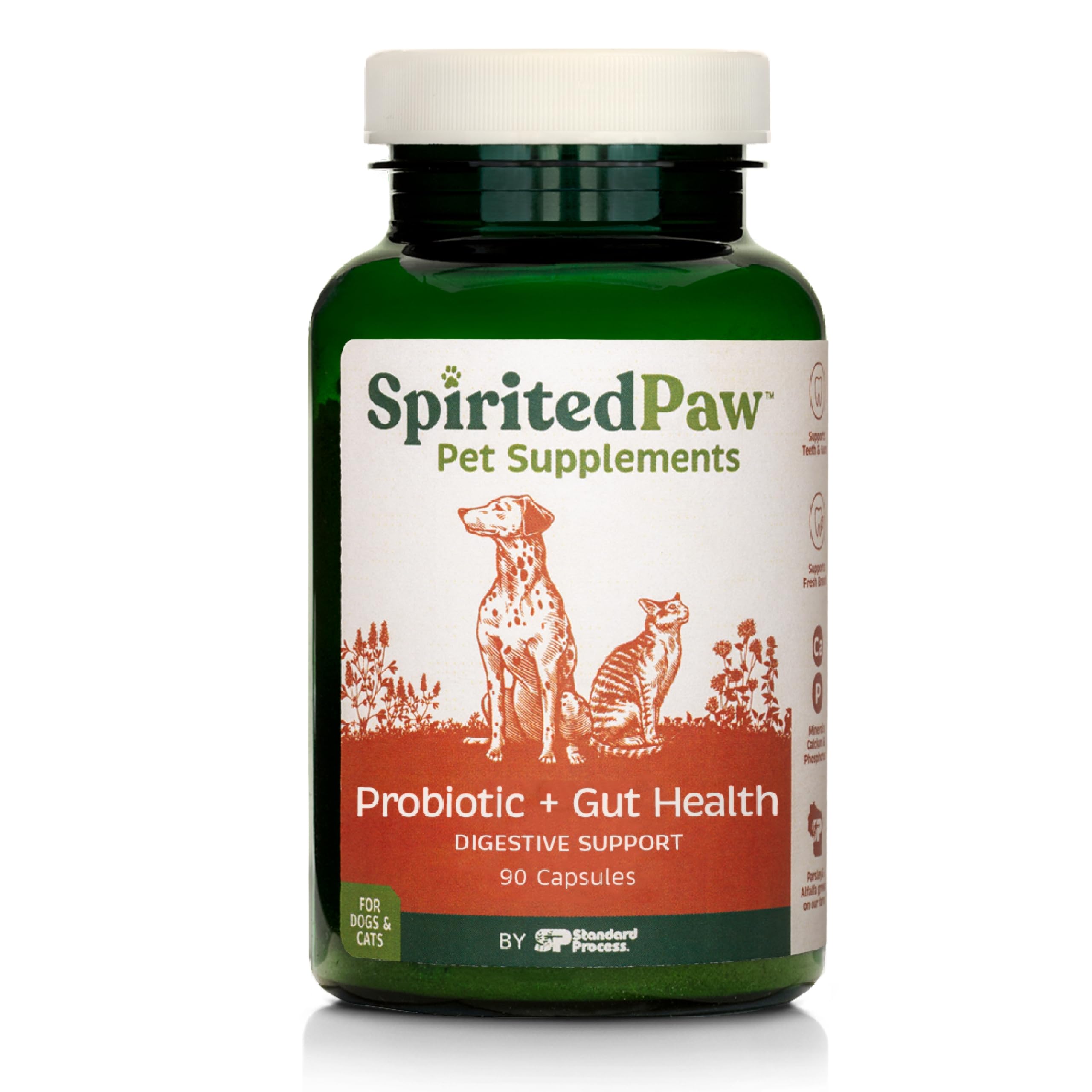 Spirited Paw probiotic bottle label highlights premium gut health support.