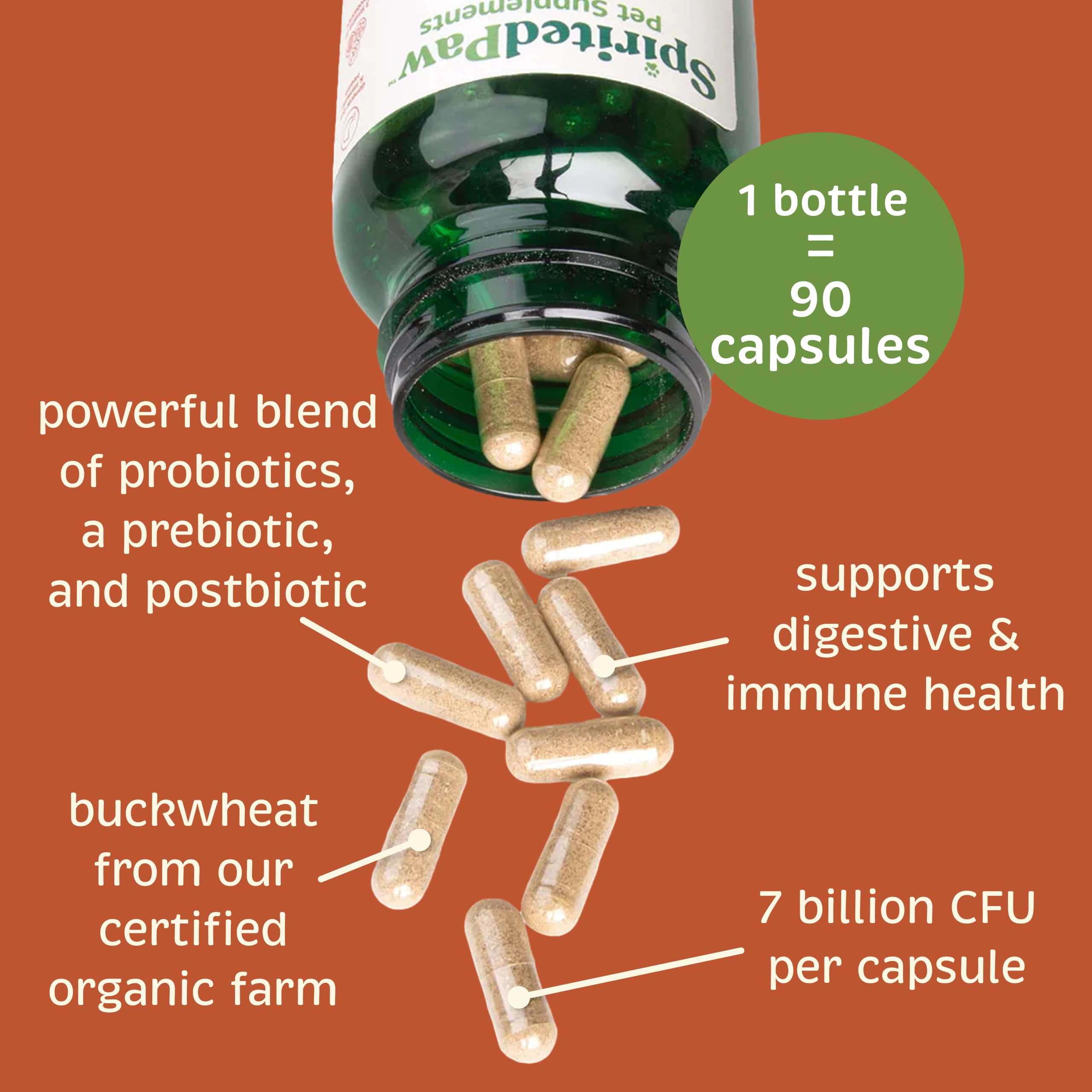 Spirited Paw whole-food ingredients visual emphasizing human-quality nutrition.