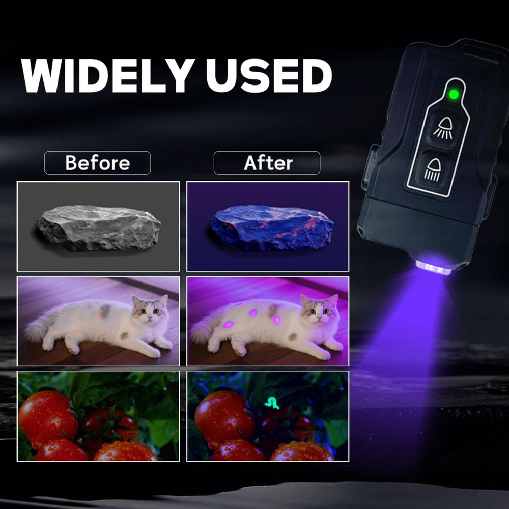 SpoLite scorpion-detection-uv-light helps observe scorpions safely at night.