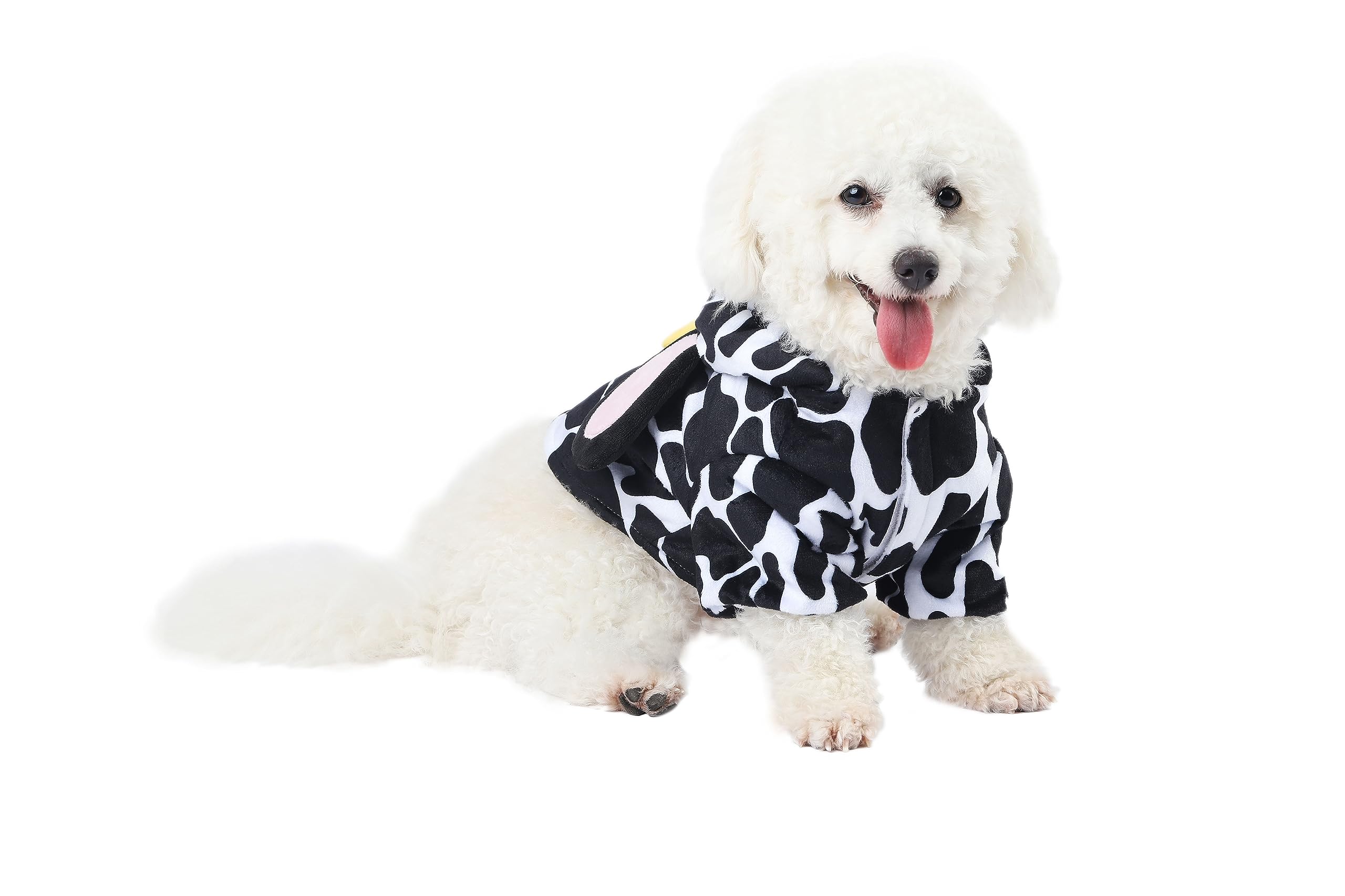 Spooktacular Creations pet-dress-up-in-action featuring easy wear and happy pet for joyful Halloween moments.
