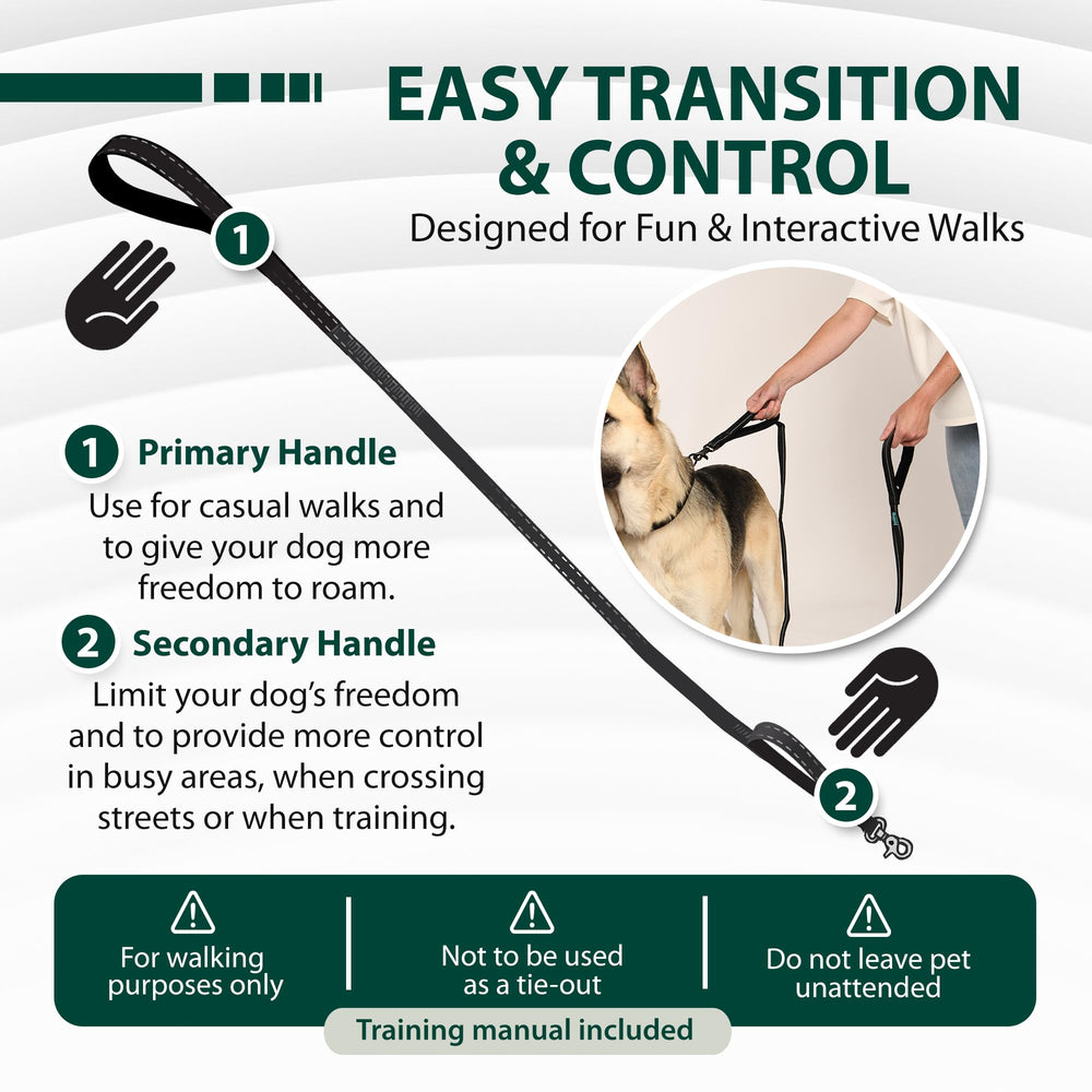 Sporn dual-handle padded leash nickel-plated hardware showcases sturdy metal components for long-lasting use.