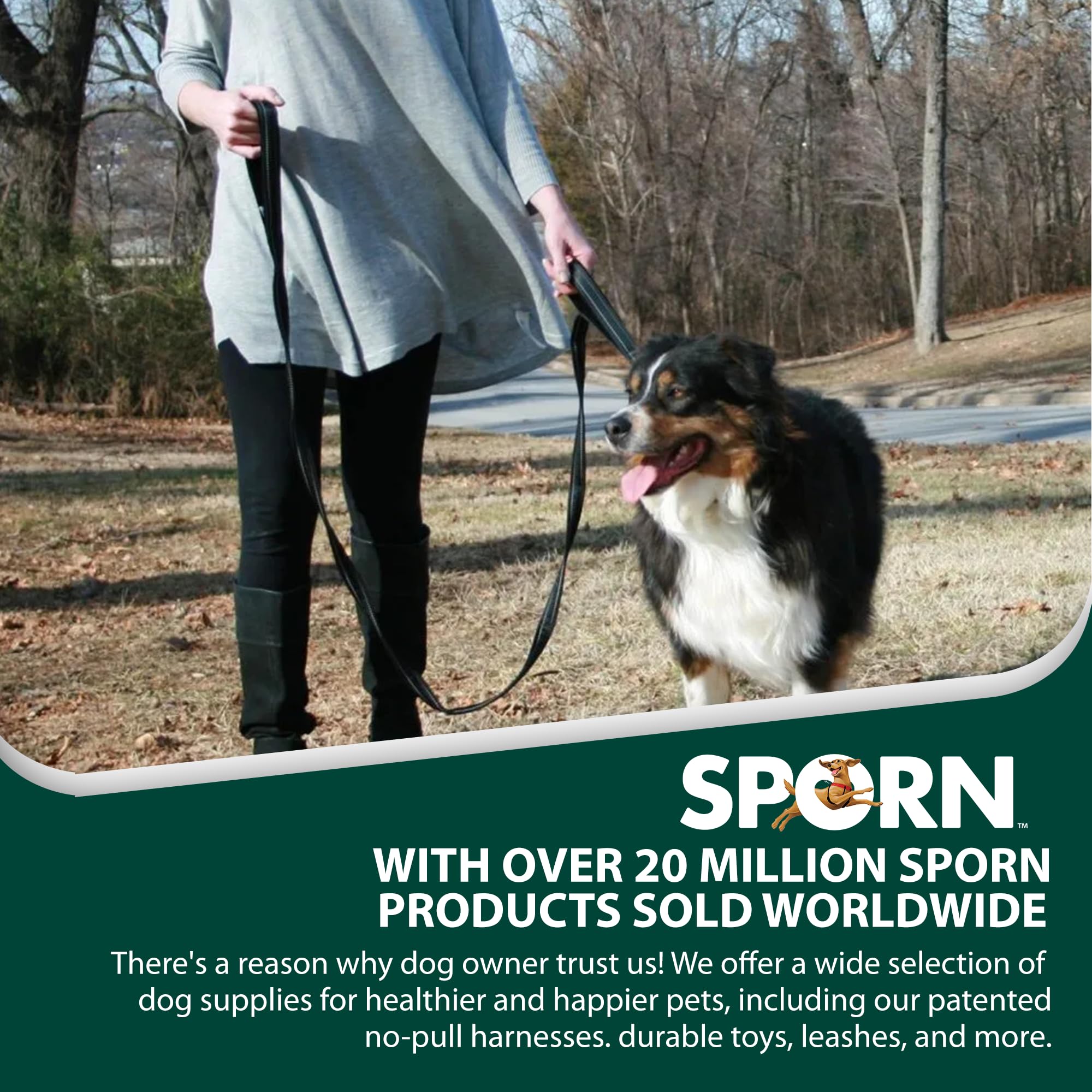 Sporn dual-handle padded leash in-use neighborhood walk demonstrates everyday control for smart strolling.