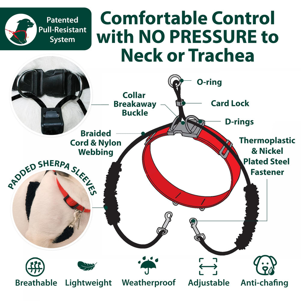 Sporn halter buckle and D-ring closure enable quick secure fitting.