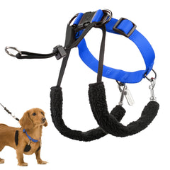 Sporn ORIGINAL Training Halter Small Blue front view shows comfortable no-pull design.