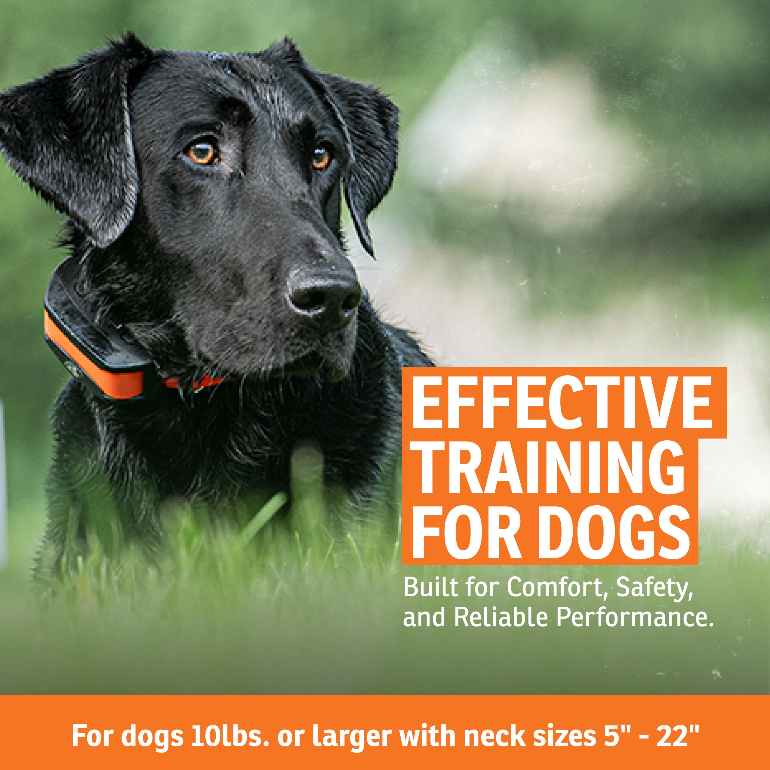 SportDOG 1000 feet wire set creates a defined boundary to protect space.