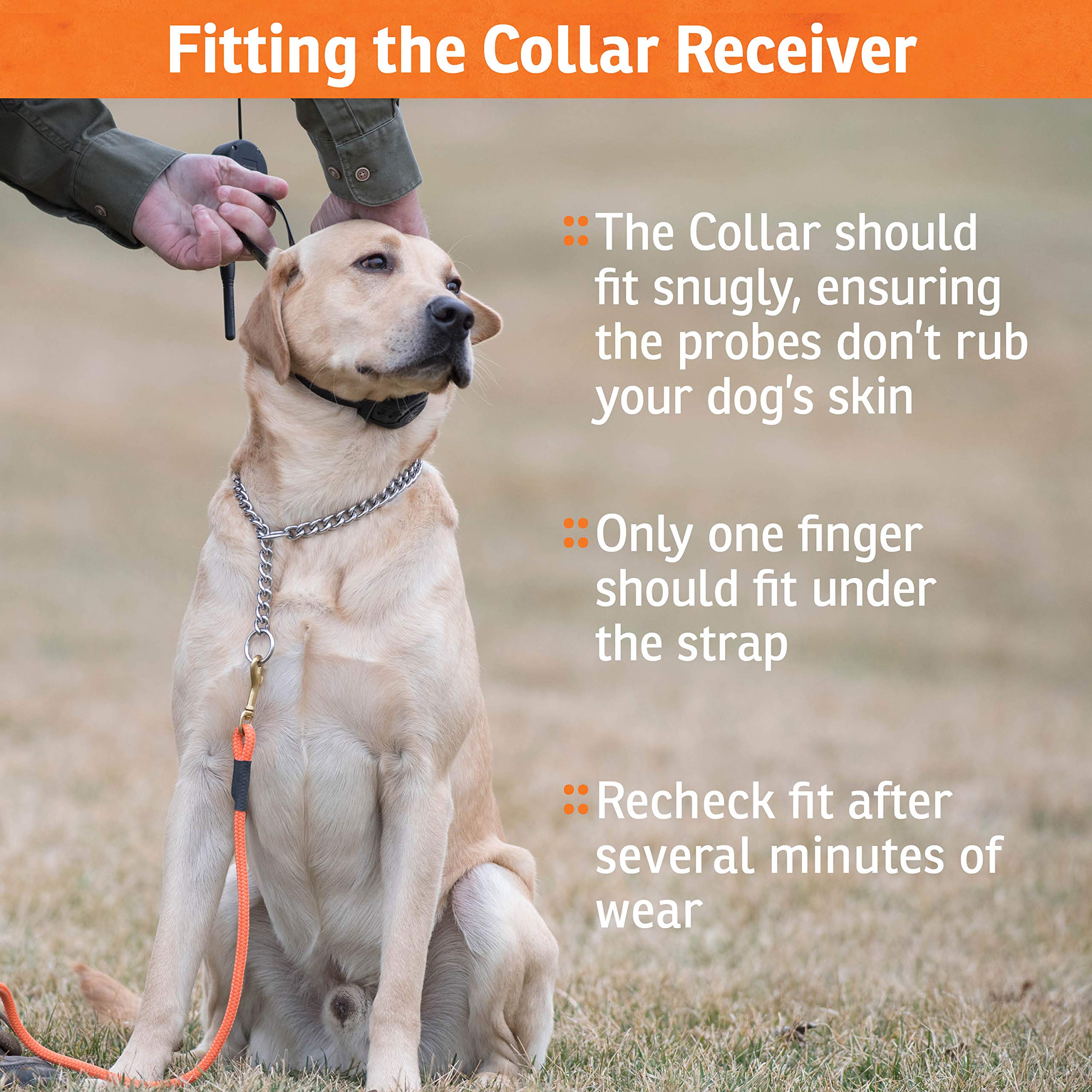 SportDOG Collar recharge time is two hours for quick setup and reuse.