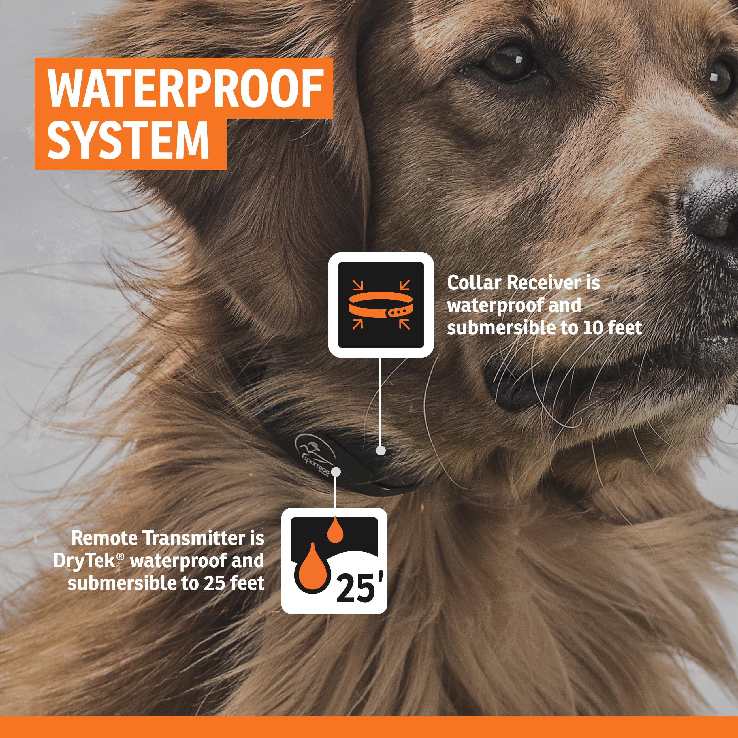 SportDOG Contain Train System collar is submersible up to 10 feet for wet environments.