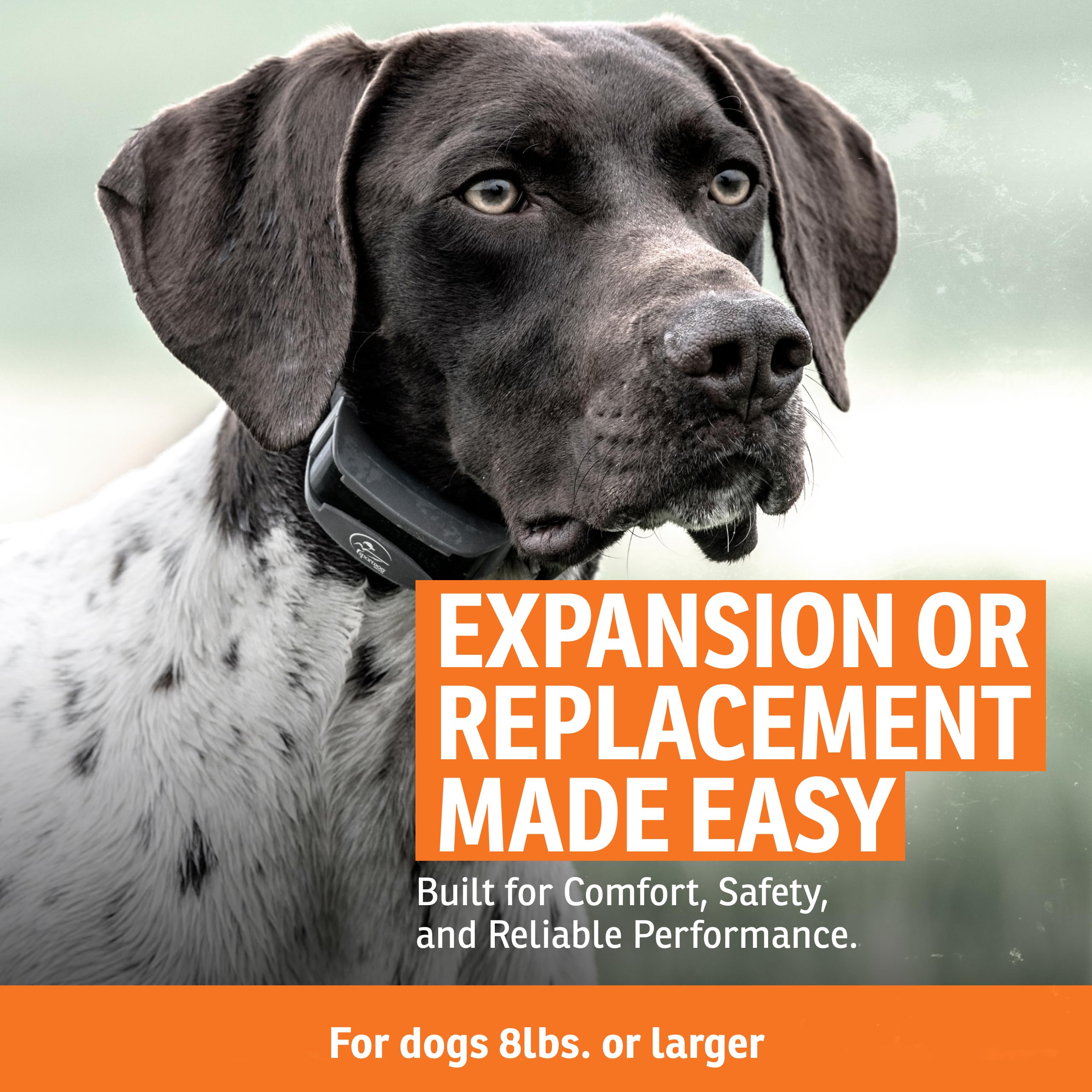 DryTek waterproof collar demonstration up to 25 feet for rugged outdoor hunts.