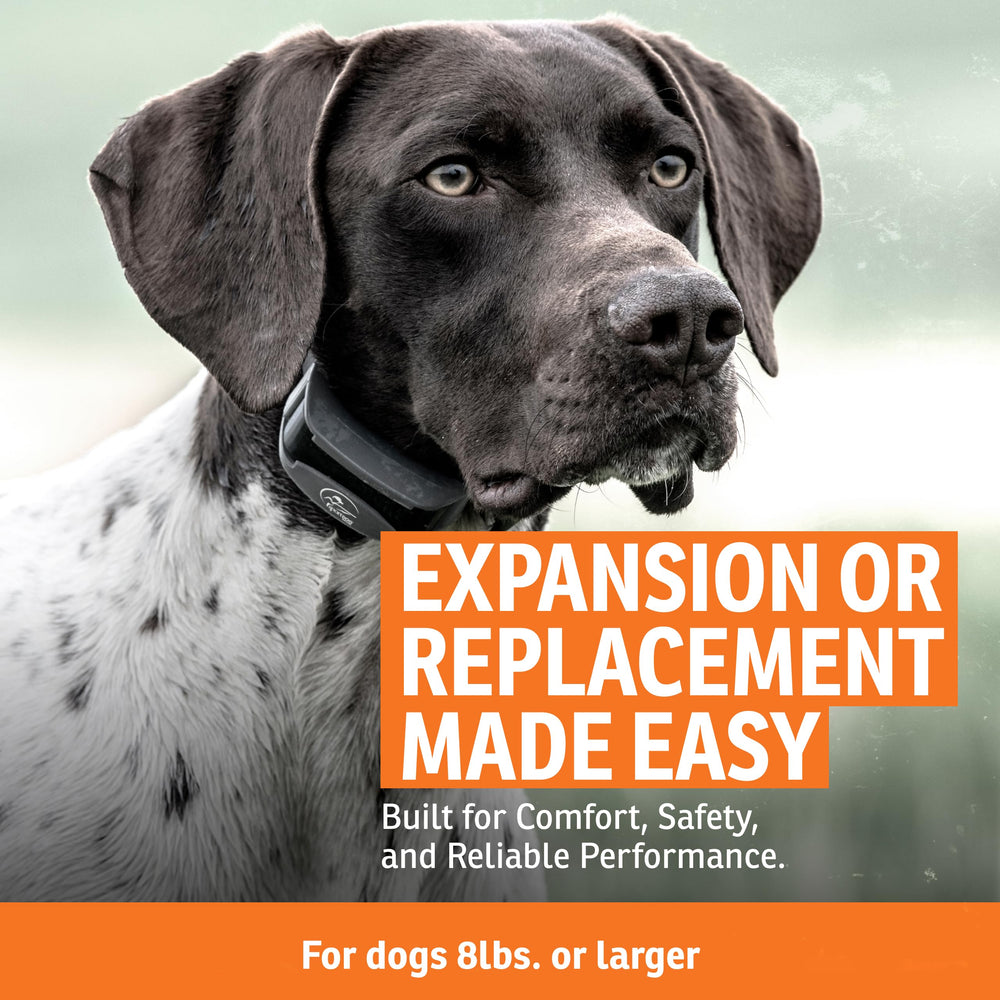 DryTek waterproof collar demonstration up to 25 feet for rugged outdoor hunts.