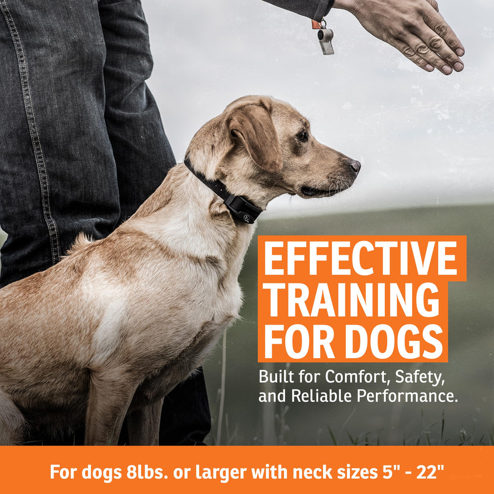 SportDOG FieldTrainer 425X collar receiver—lightweight all-day wear