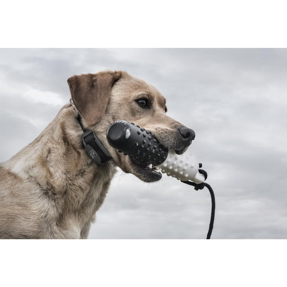 SportDOG FieldTrainer 425X built to perform in harsh field conditions