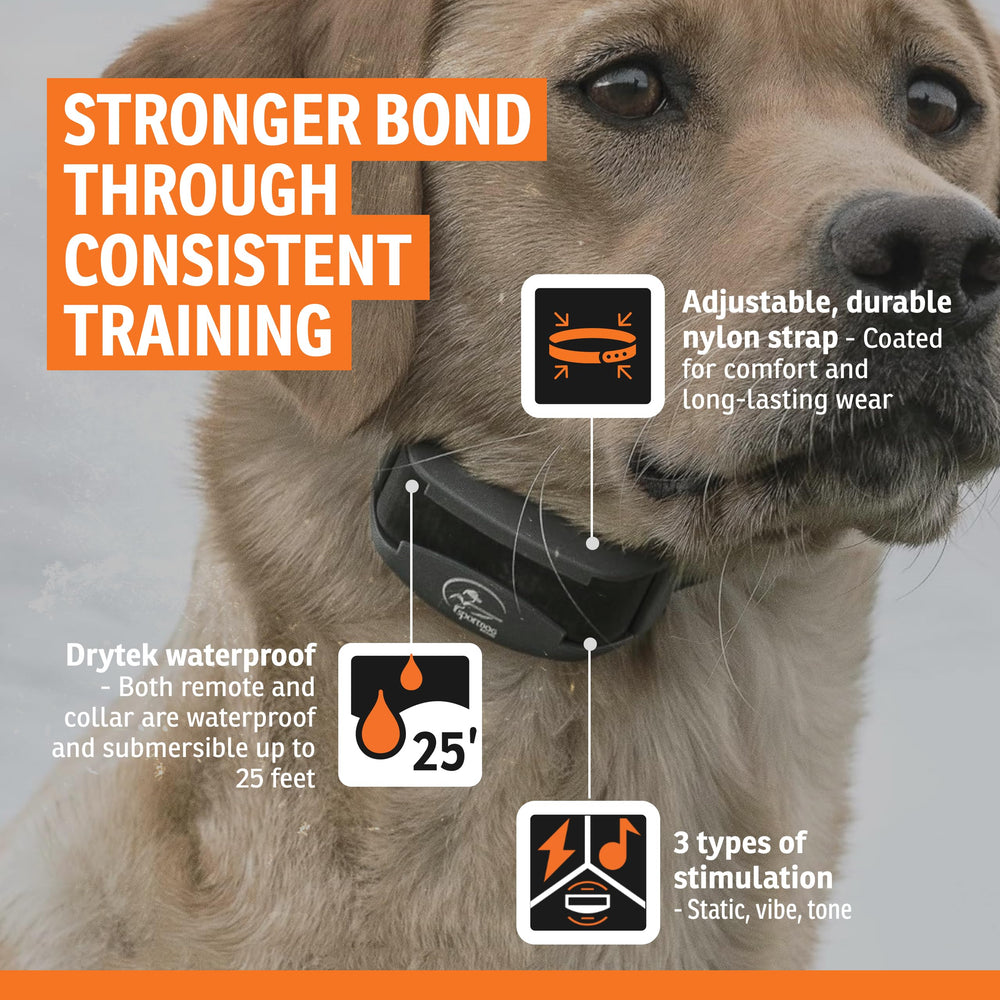 SportDOG FieldTrainer 425X quick-charge battery for long training days