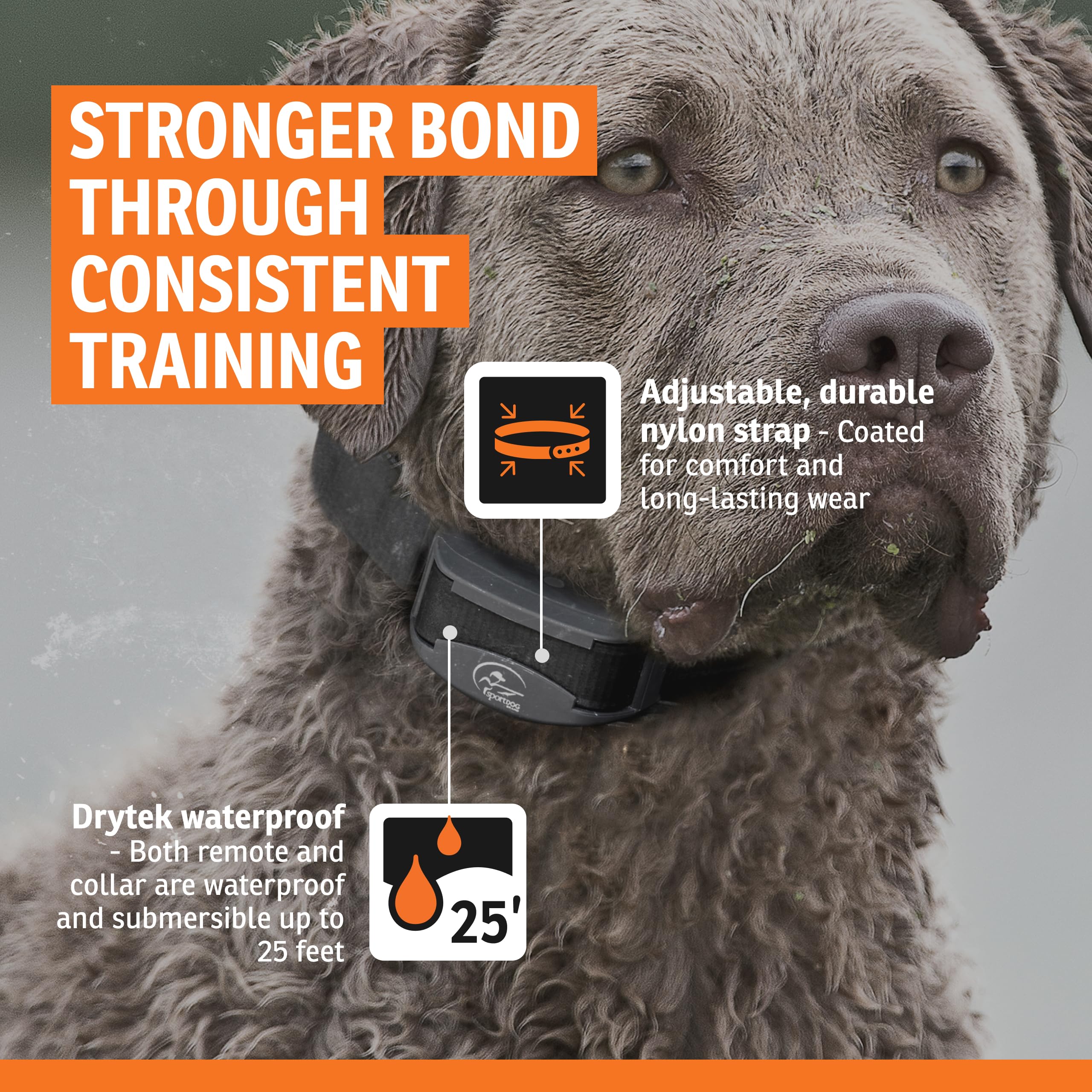 SportDOG FieldTrainer 425XS charging battery for fast top-ups.
