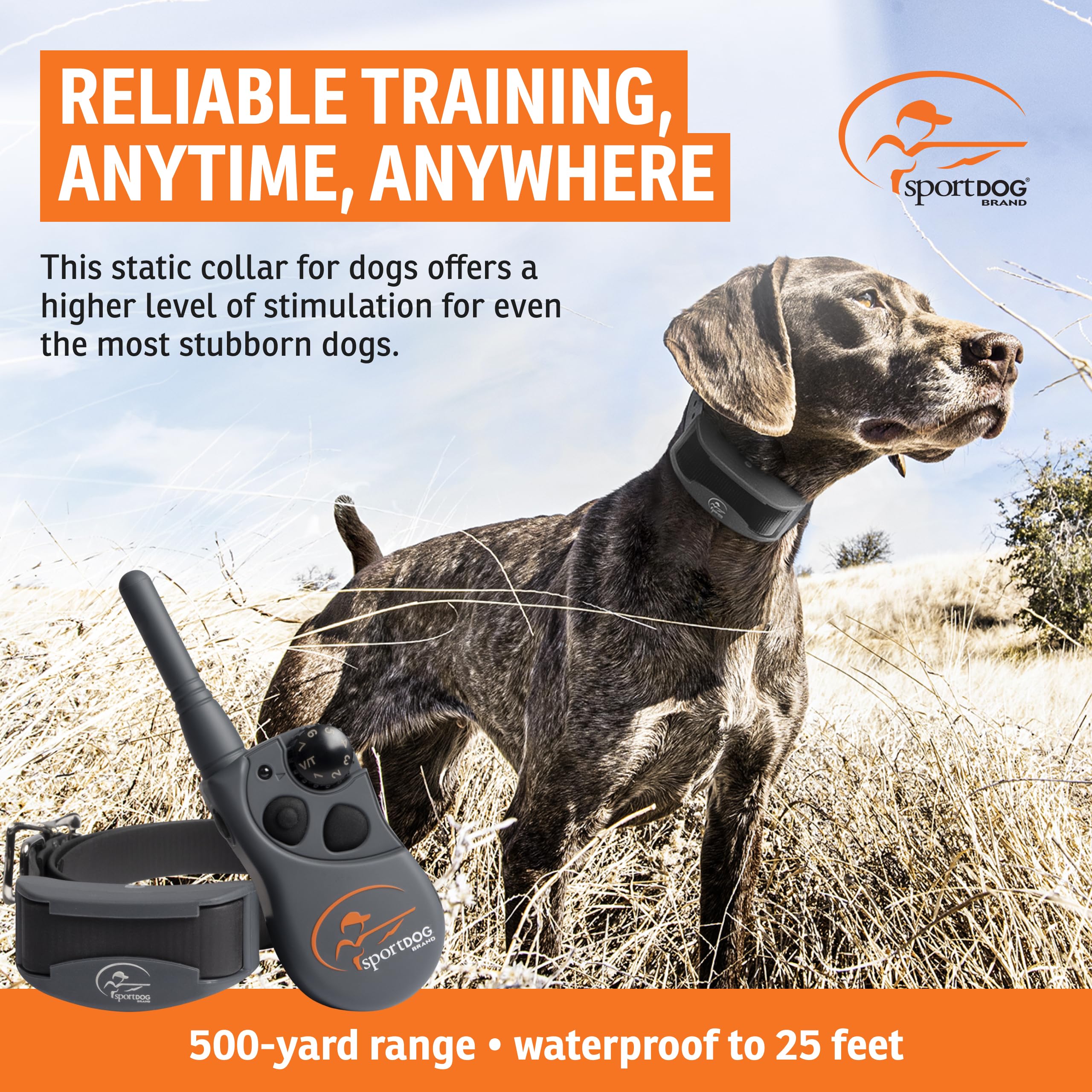 SportDOG FieldTrainer 425XS collar receiver ready for quick field corrections.