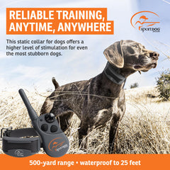 SportDOG FieldTrainer 425XS collar receiver ready for quick field corrections.