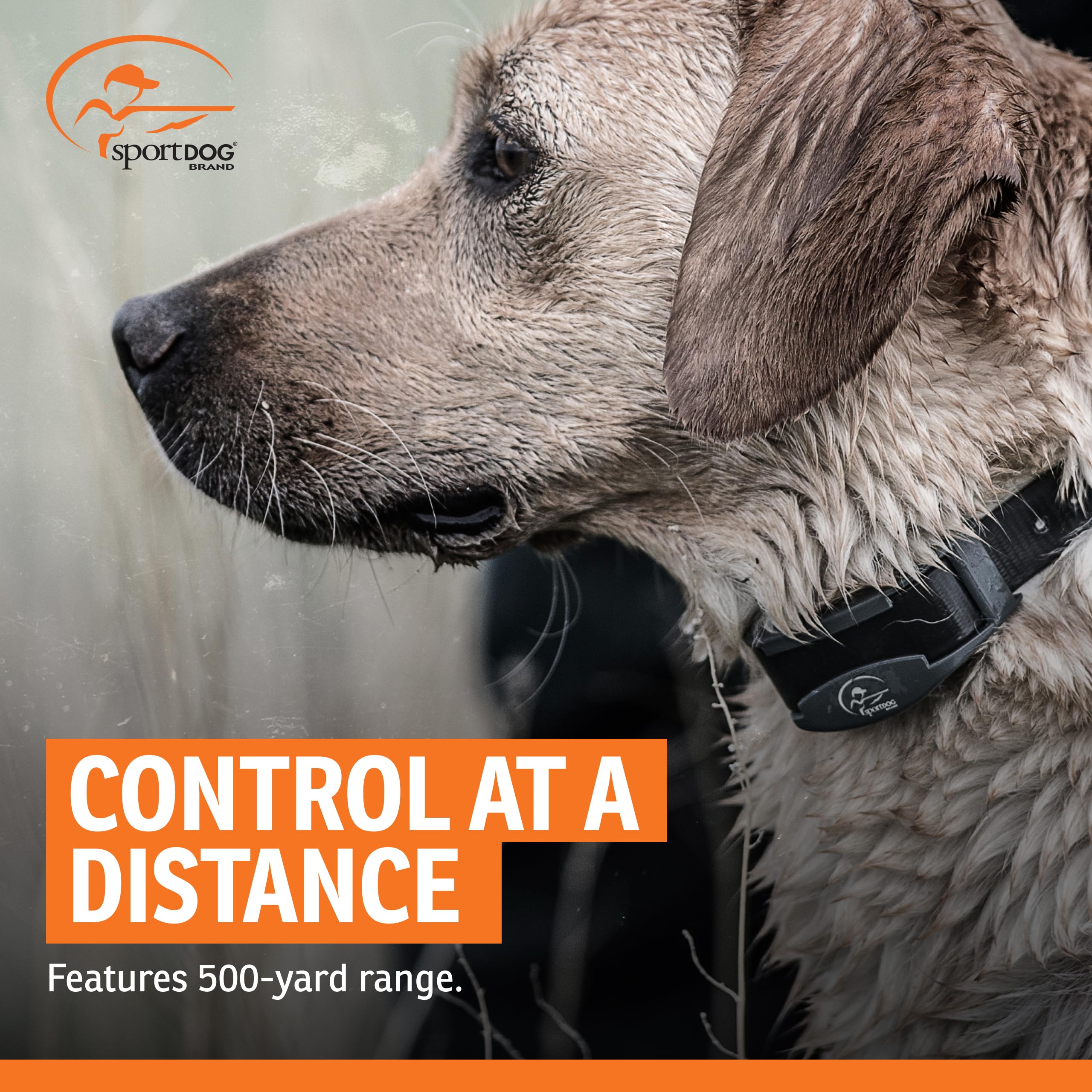 SportDOG FieldTrainer 425XS off-leash training across varied terrain.