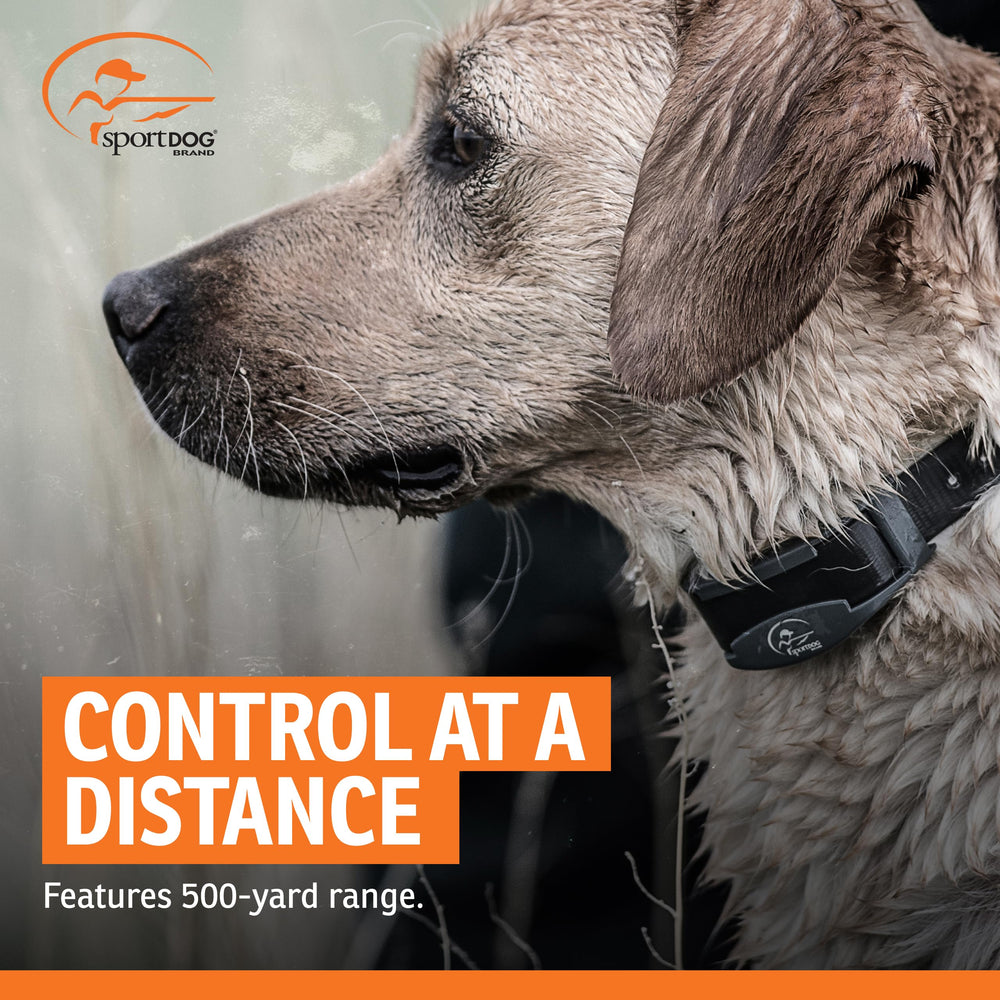 SportDOG FieldTrainer 425XS off-leash training across varied terrain.