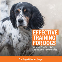 SportDOG FieldTrainer 425XS rugged strap for durable field-ready wear.