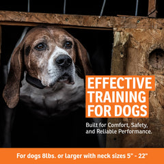 SportDOG NoBark 10 battery indicator highlights long-lasting charge readiness