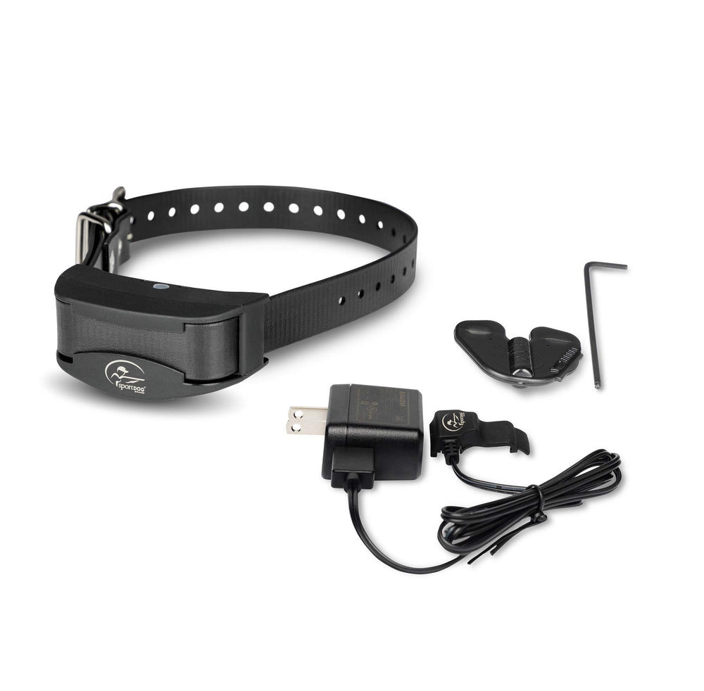 SportDOG NoBark 10 dog wearing collar during outdoor activity for training benefits