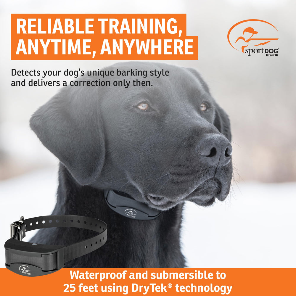 SportDOG NoBark 10 collar on neck demonstrates 5"–22" fit for many dogs