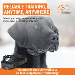 SportDOG NoBark 10 collar on neck demonstrates 5"–22" fit for many dogs