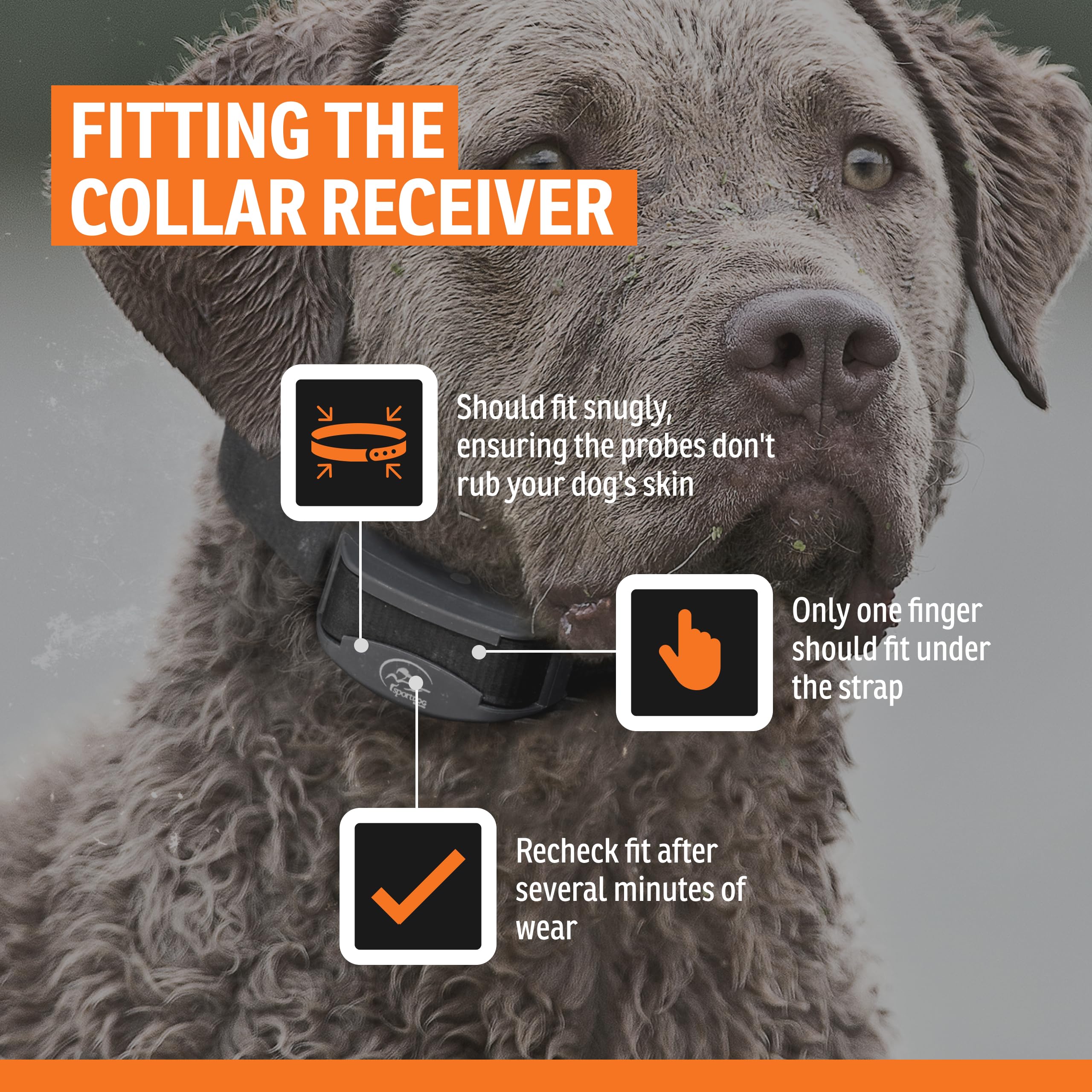 SportDOG NoBark 10 Silent Partner technology graphic illustrating false-correction prevention