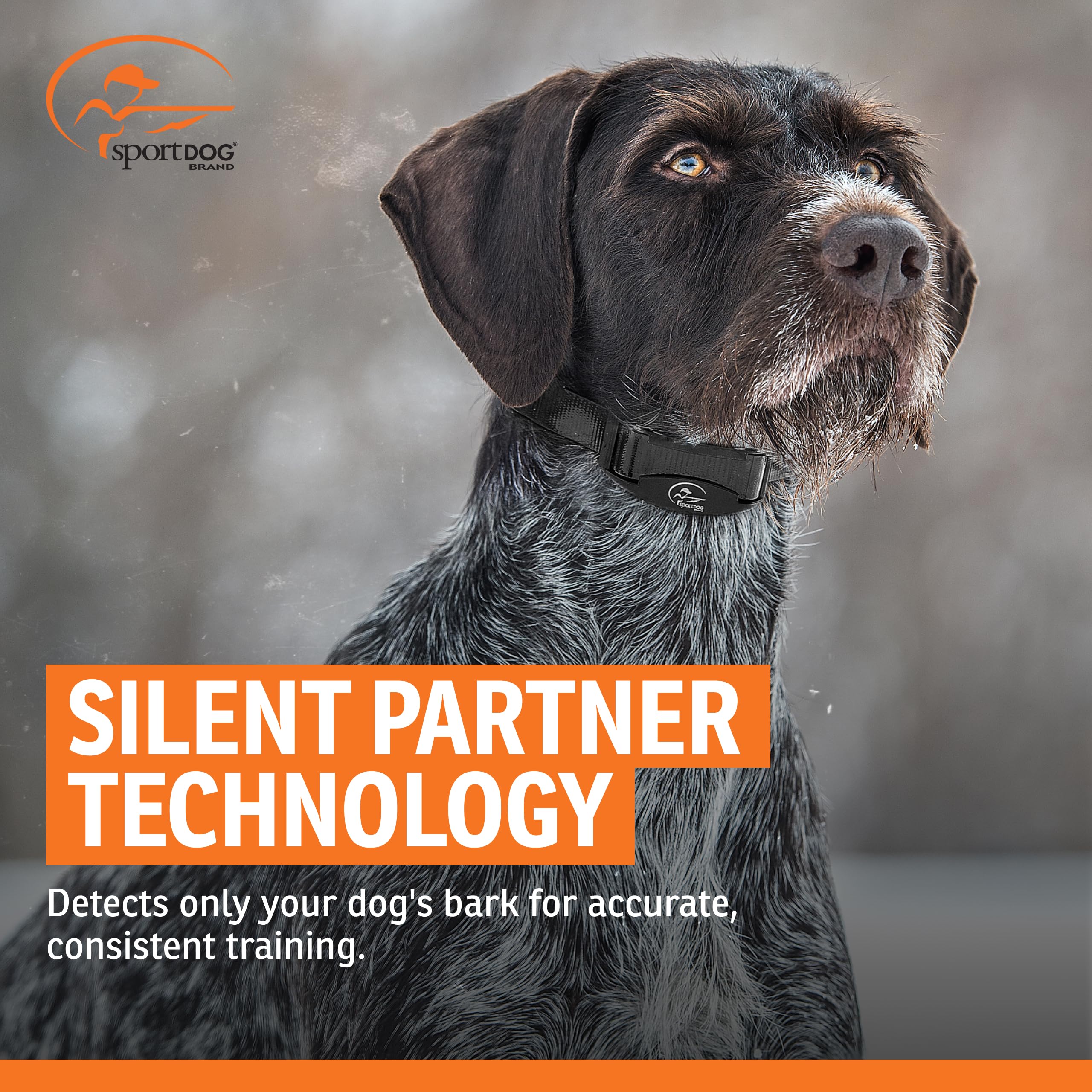 SportDOG NoBark SBC-R adjustable collar fits dogs from 5 to 22 inches.