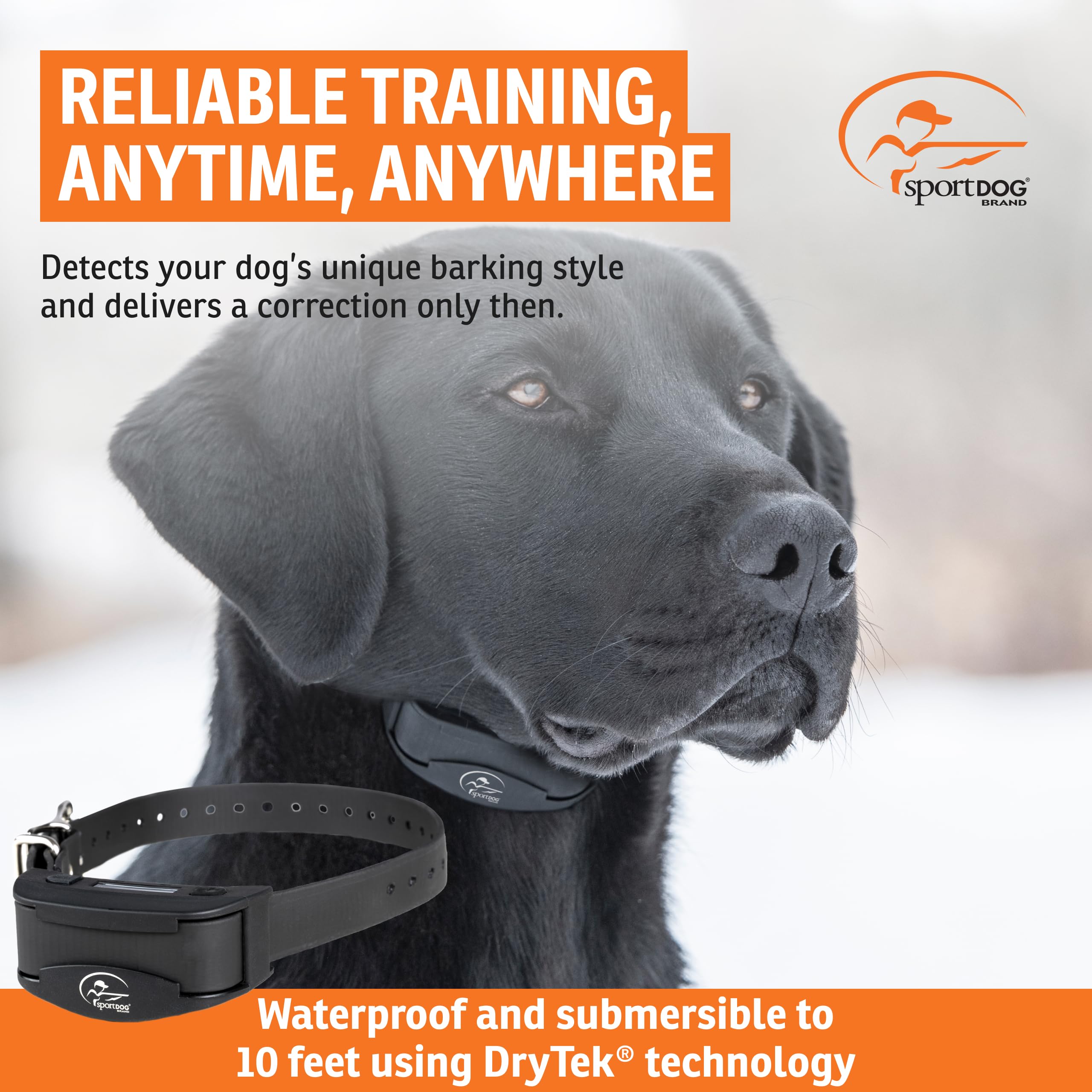 SportDOG NoBark SBC-R waterproof collar outdoors for all-weather training.
