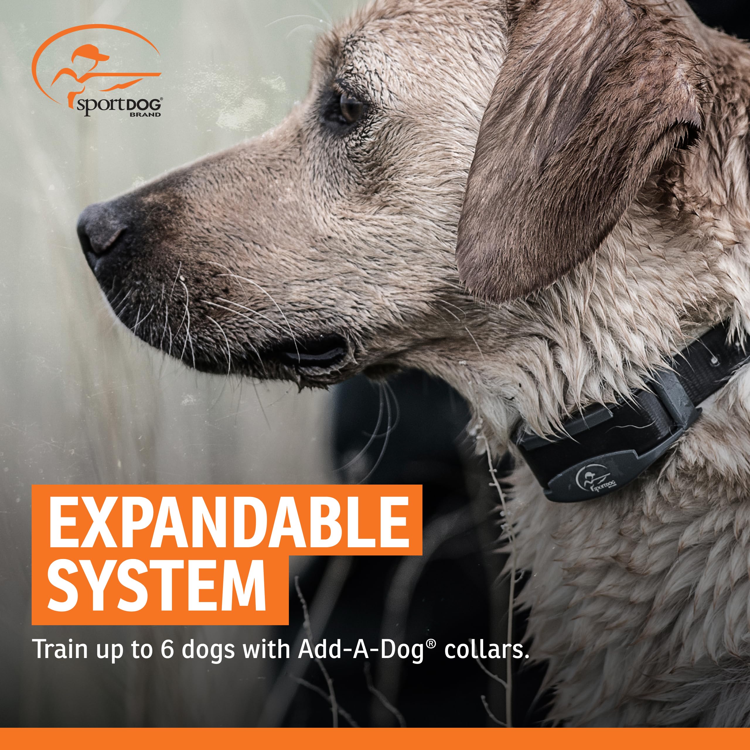 SportDOG SportTrainer 1275 offers 10 stimulation levels for customizable training