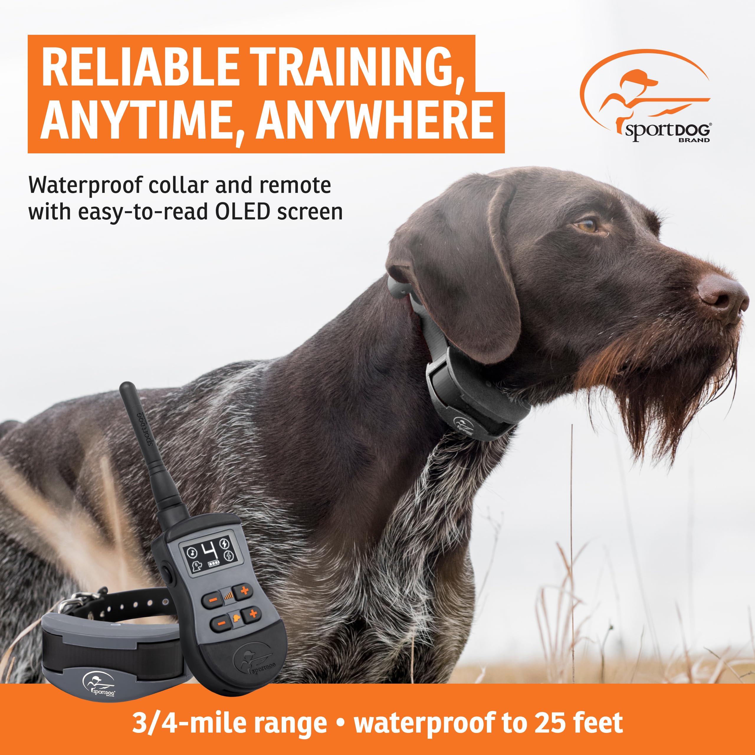 SportDOG SportTrainer 1275 collar receiver delivering reliable stimulation and long battery life