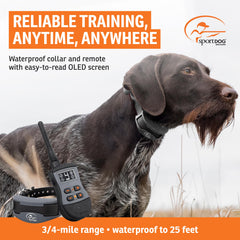 SportDOG SportTrainer 1275 collar receiver delivering reliable stimulation and long battery life