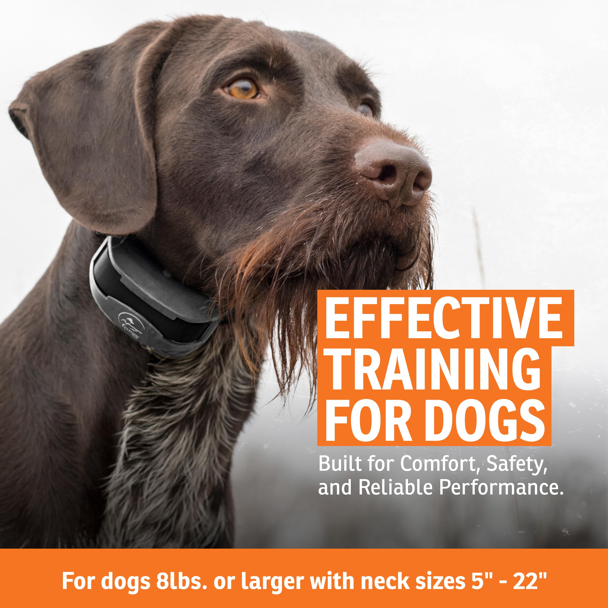 SportDOG SportTrainer 1275 OLED display for easy readability during training