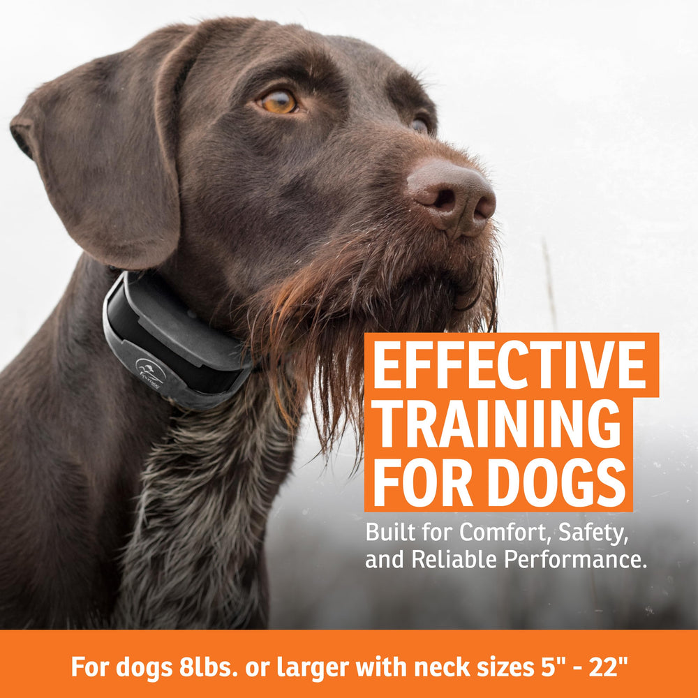 SportDOG SportTrainer 1275 OLED display for easy readability during training