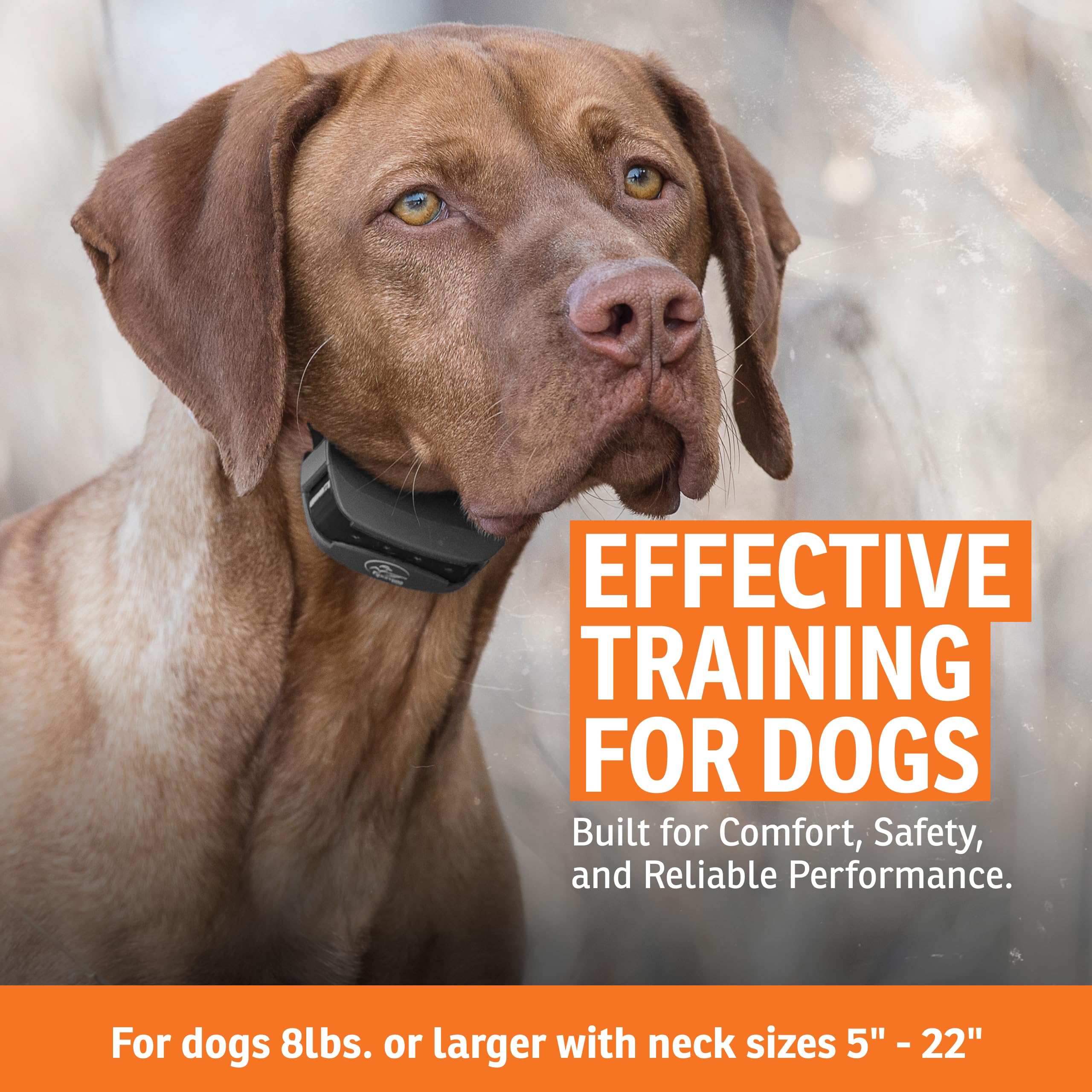 SportDOG SportTrainer 575 collar receiver demonstrates DryTek waterproofing for wet conditions.